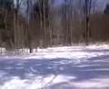 Snowmobile Wheelie