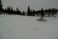 Snowmobile hill climb in Alaska (small hill)