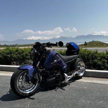 2015 Honda Grom photo