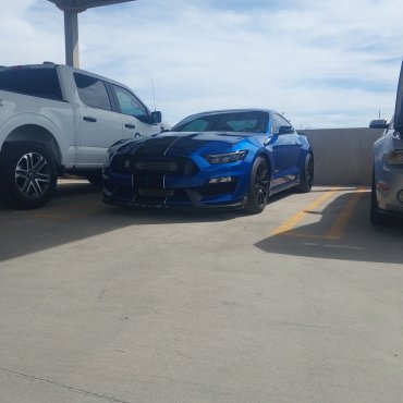 2017 Ford Mustang gt350 photo